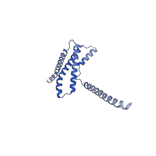 22774_7kal_E_v1-3
Cryo-EM structure of the Sec complex from T. lanuginosus, wild-type, class with Sec62, plug-open conformation