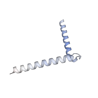 22774_7kal_G_v1-2
Cryo-EM structure of the Sec complex from T. lanuginosus, wild-type, class with Sec62, plug-open conformation