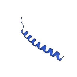 22775_7kam_B_v1-3
Cryo-EM structure of the Sec complex from T. lanuginosus, wild-type, class with Sec62, plug-closed conformation