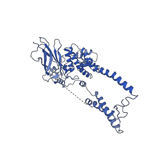 22775_7kam_D_v1-2
Cryo-EM structure of the Sec complex from T. lanuginosus, wild-type, class with Sec62, plug-closed conformation