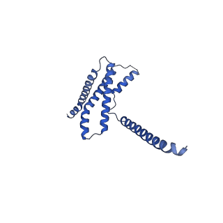 22775_7kam_E_v1-2
Cryo-EM structure of the Sec complex from T. lanuginosus, wild-type, class with Sec62, plug-closed conformation