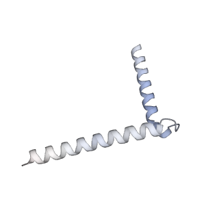 22775_7kam_G_v1-3
Cryo-EM structure of the Sec complex from T. lanuginosus, wild-type, class with Sec62, plug-closed conformation