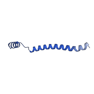 22776_7kan_C_v1-2
Cryo-EM structure of the Sec complex from T. lanuginosus, Sec62-lacking mutant (Delta Sec62)