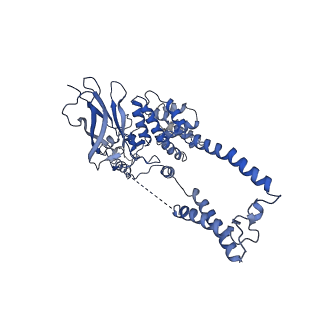 22776_7kan_D_v1-2
Cryo-EM structure of the Sec complex from T. lanuginosus, Sec62-lacking mutant (Delta Sec62)