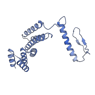 22776_7kan_F_v1-2
Cryo-EM structure of the Sec complex from T. lanuginosus, Sec62-lacking mutant (Delta Sec62)