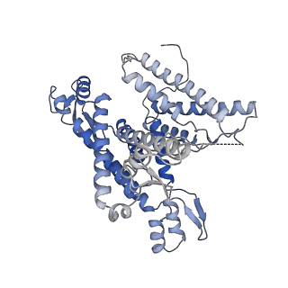 22778_7kao_A_v1-2
Cryo-EM structure of the Sec complex from S. cerevisiae, Sec61 pore mutant, class without Sec62