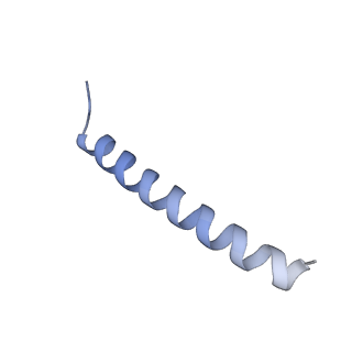 22778_7kao_B_v1-2
Cryo-EM structure of the Sec complex from S. cerevisiae, Sec61 pore mutant, class without Sec62