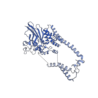 22778_7kao_D_v1-2
Cryo-EM structure of the Sec complex from S. cerevisiae, Sec61 pore mutant, class without Sec62