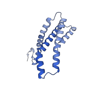 22778_7kao_E_v1-2
Cryo-EM structure of the Sec complex from S. cerevisiae, Sec61 pore mutant, class without Sec62