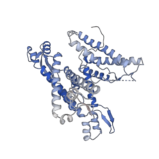 22779_7kap_A_v1-3
Cryo-EM structure of the Sec complex from S. cerevisiae, Sec61 pore mutant, class with Sec62, conformation 1 (C1)