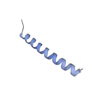 22779_7kap_B_v1-3
Cryo-EM structure of the Sec complex from S. cerevisiae, Sec61 pore mutant, class with Sec62, conformation 1 (C1)