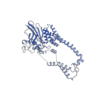 22779_7kap_D_v1-2
Cryo-EM structure of the Sec complex from S. cerevisiae, Sec61 pore mutant, class with Sec62, conformation 1 (C1)