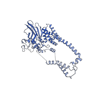 22779_7kap_D_v1-3
Cryo-EM structure of the Sec complex from S. cerevisiae, Sec61 pore mutant, class with Sec62, conformation 1 (C1)