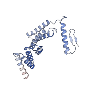 22779_7kap_F_v1-2
Cryo-EM structure of the Sec complex from S. cerevisiae, Sec61 pore mutant, class with Sec62, conformation 1 (C1)