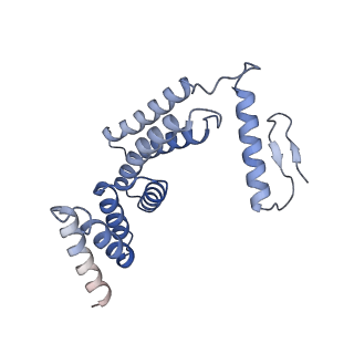 22779_7kap_F_v1-3
Cryo-EM structure of the Sec complex from S. cerevisiae, Sec61 pore mutant, class with Sec62, conformation 1 (C1)