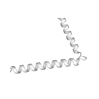 22779_7kap_G_v1-3
Cryo-EM structure of the Sec complex from S. cerevisiae, Sec61 pore mutant, class with Sec62, conformation 1 (C1)