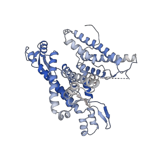 22780_7kaq_A_v1-3
Cryo-EM structure of the Sec complex from S. cerevisiae, Sec61 pore mutant, class with Sec62, conformation 2 (C2)