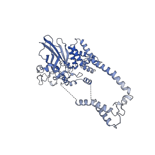 22780_7kaq_D_v1-2
Cryo-EM structure of the Sec complex from S. cerevisiae, Sec61 pore mutant, class with Sec62, conformation 2 (C2)