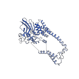 22780_7kaq_D_v1-3
Cryo-EM structure of the Sec complex from S. cerevisiae, Sec61 pore mutant, class with Sec62, conformation 2 (C2)