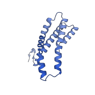 22780_7kaq_E_v1-3
Cryo-EM structure of the Sec complex from S. cerevisiae, Sec61 pore mutant, class with Sec62, conformation 2 (C2)