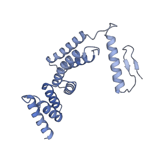 22780_7kaq_F_v1-2
Cryo-EM structure of the Sec complex from S. cerevisiae, Sec61 pore mutant, class with Sec62, conformation 2 (C2)