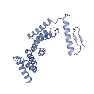 22780_7kaq_F_v1-3
Cryo-EM structure of the Sec complex from S. cerevisiae, Sec61 pore mutant, class with Sec62, conformation 2 (C2)