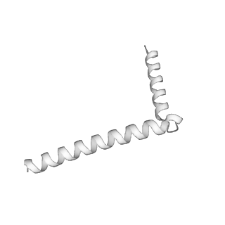 22780_7kaq_G_v1-3
Cryo-EM structure of the Sec complex from S. cerevisiae, Sec61 pore mutant, class with Sec62, conformation 2 (C2)