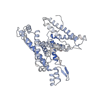 22781_7kar_A_v1-2
Cryo-EM structure of the Sec complex from S. cerevisiae, Sec63 FN3 mutant, class without Sec62