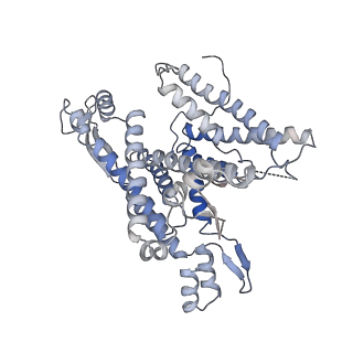 22781_7kar_A_v1-3
Cryo-EM structure of the Sec complex from S. cerevisiae, Sec63 FN3 mutant, class without Sec62