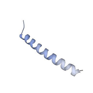 22781_7kar_B_v1-2
Cryo-EM structure of the Sec complex from S. cerevisiae, Sec63 FN3 mutant, class without Sec62
