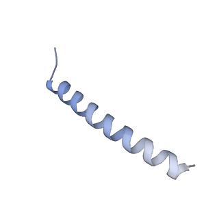 22781_7kar_B_v1-3
Cryo-EM structure of the Sec complex from S. cerevisiae, Sec63 FN3 mutant, class without Sec62