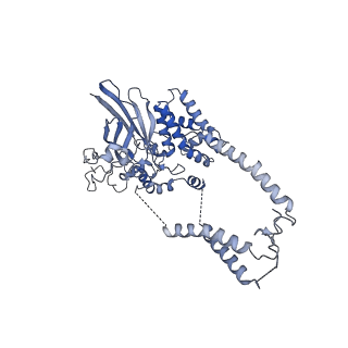 22781_7kar_D_v1-2
Cryo-EM structure of the Sec complex from S. cerevisiae, Sec63 FN3 mutant, class without Sec62