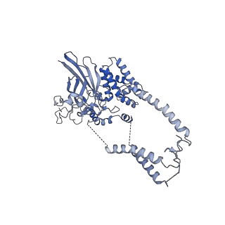 22781_7kar_D_v1-3
Cryo-EM structure of the Sec complex from S. cerevisiae, Sec63 FN3 mutant, class without Sec62