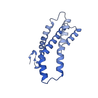 22781_7kar_E_v1-3
Cryo-EM structure of the Sec complex from S. cerevisiae, Sec63 FN3 mutant, class without Sec62