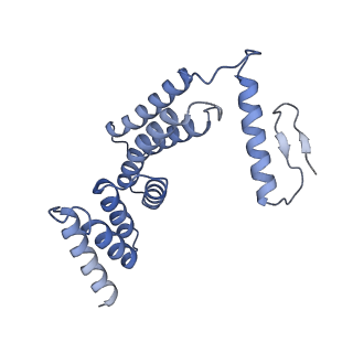 22781_7kar_F_v1-2
Cryo-EM structure of the Sec complex from S. cerevisiae, Sec63 FN3 mutant, class without Sec62