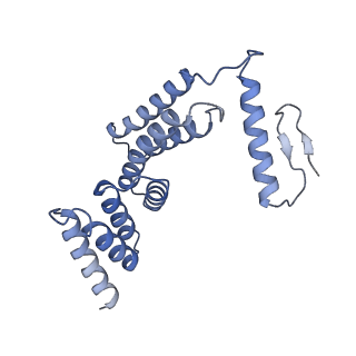 22781_7kar_F_v1-3
Cryo-EM structure of the Sec complex from S. cerevisiae, Sec63 FN3 mutant, class without Sec62