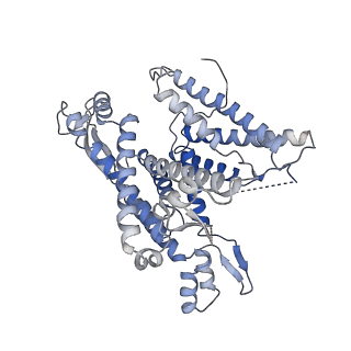 22782_7kas_A_v1-2
Cryo-EM structure of the Sec complex from S. cerevisiae, Sec63 FN3 mutant, class with Sec62