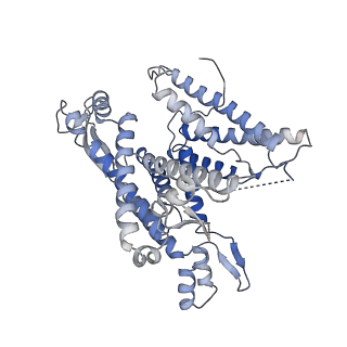 22782_7kas_A_v2-0
Cryo-EM structure of the Sec complex from S. cerevisiae, Sec63 FN3 mutant, class with Sec62