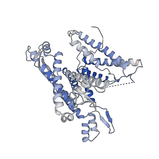 22782_7kas_A_v2-1
Cryo-EM structure of the Sec complex from S. cerevisiae, Sec63 FN3 mutant, class with Sec62