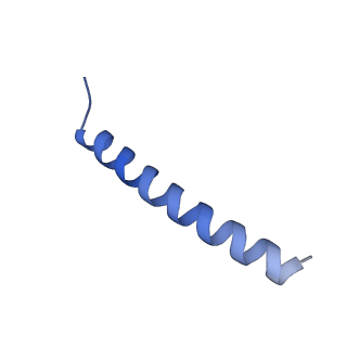 22782_7kas_B_v2-1
Cryo-EM structure of the Sec complex from S. cerevisiae, Sec63 FN3 mutant, class with Sec62