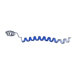 22782_7kas_C_v2-1
Cryo-EM structure of the Sec complex from S. cerevisiae, Sec63 FN3 mutant, class with Sec62