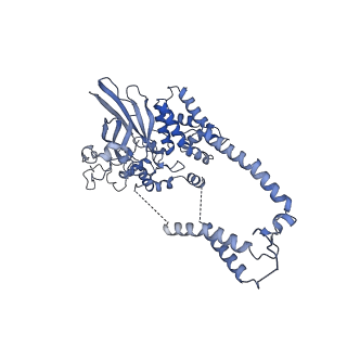 22782_7kas_D_v1-2
Cryo-EM structure of the Sec complex from S. cerevisiae, Sec63 FN3 mutant, class with Sec62