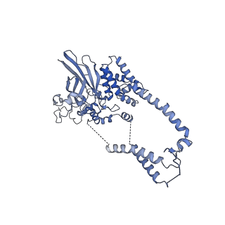 22782_7kas_D_v2-0
Cryo-EM structure of the Sec complex from S. cerevisiae, Sec63 FN3 mutant, class with Sec62