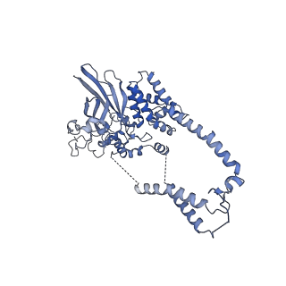 22782_7kas_D_v2-1
Cryo-EM structure of the Sec complex from S. cerevisiae, Sec63 FN3 mutant, class with Sec62