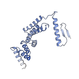 22782_7kas_F_v1-2
Cryo-EM structure of the Sec complex from S. cerevisiae, Sec63 FN3 mutant, class with Sec62