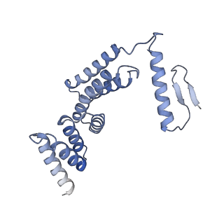 22782_7kas_F_v2-1
Cryo-EM structure of the Sec complex from S. cerevisiae, Sec63 FN3 mutant, class with Sec62