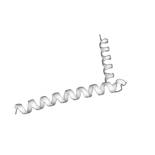 22782_7kas_G_v2-1
Cryo-EM structure of the Sec complex from S. cerevisiae, Sec63 FN3 mutant, class with Sec62