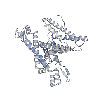 22783_7kat_A_v1-2
Cryo-EM structure of the Sec complex from S. cerevisiae, Sec61 pore ring and Sec63 FN3 double mutant, class without Sec62
