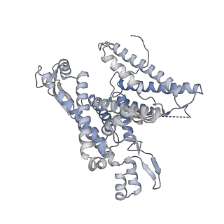 22783_7kat_A_v1-3
Cryo-EM structure of the Sec complex from S. cerevisiae, Sec61 pore ring and Sec63 FN3 double mutant, class without Sec62