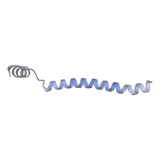 22783_7kat_C_v1-3
Cryo-EM structure of the Sec complex from S. cerevisiae, Sec61 pore ring and Sec63 FN3 double mutant, class without Sec62